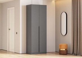 Шкаф платяной Даиго в Надыме - nadym.ok-mebel.com | фото 3