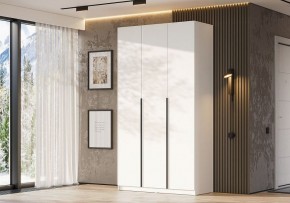 Шкаф платяной Даиго в Надыме - nadym.ok-mebel.com | фото 3