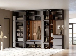 Шкаф платяной Роут в Надыме - nadym.ok-mebel.com | фото 2