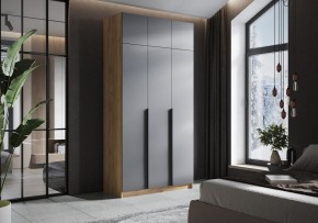 Шкаф платяной Широн в Надыме - nadym.ok-mebel.com | фото 4