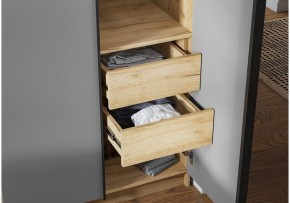 Шкаф платяной Широн в Надыме - nadym.ok-mebel.com | фото 3