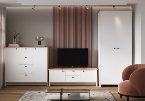 Шкаф платяной Теодора в Надыме - nadym.ok-mebel.com | фото 4
