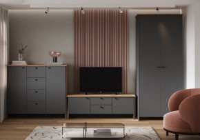 Шкаф платяной Теодора в Надыме - nadym.ok-mebel.com | фото 3
