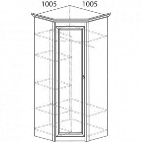 Шкаф угловой №662 "Флоренция" Фасад глухой (угол 1005*1005) Дуб оксфорд в Надыме - nadym.ok-mebel.com | фото 3