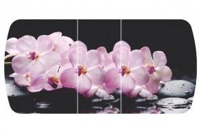 Стол Бостон-3 (Розовая Орхидея) 1100/1420*700, опора Брифинг в Надыме - nadym.ok-mebel.com | фото 2