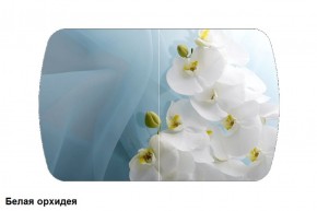 Стол Бостон 900*600 (опоры Брифинг) Стекло/фотопечать Белая Орхидея в Надыме - nadym.ok-mebel.com | фото