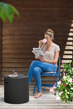 Столик-холодильник Кул-Стул (Cool stool) графит в Надыме - nadym.ok-mebel.com | фото