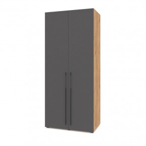 СТОУН С22 Шкаф 2-х створчатый (золотой дуб/графит) в Надыме - nadym.ok-mebel.com | фото