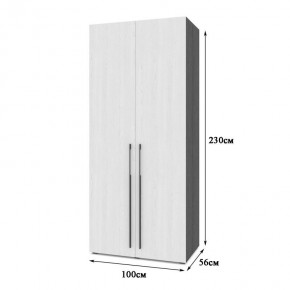 СТОУН С22 Шкаф 2-х створчатый (золотой дуб/графит) в Надыме - nadym.ok-mebel.com | фото 2