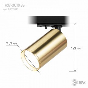Светильник на штанге Эра  TR39-GU10 BS в Надыме - nadym.ok-mebel.com | фото 6