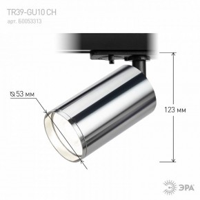 Светильник на штанге Эра  TR39-GU10 СН в Надыме - nadym.ok-mebel.com | фото 7