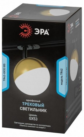 Светильник на штанге Эра  TR42-GX53 BS в Надыме - nadym.ok-mebel.com | фото 6
