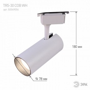 Светильник на штанге Эра  TR5-30 COB WH в Надыме - nadym.ok-mebel.com | фото 6