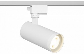 Светильник на штанге Эра  TR59 - 2040 WH в Надыме - nadym.ok-mebel.com | фото