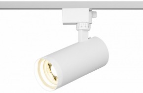 Светильник на штанге Эра  TR59 - 2040 WH в Надыме - nadym.ok-mebel.com | фото 5