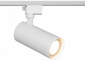 Светильник на штанге Эра  TR59 - 3030 WH в Надыме - nadym.ok-mebel.com | фото