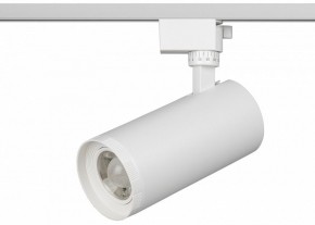Светильник на штанге Эра  TR59 - 3030 WH в Надыме - nadym.ok-mebel.com | фото 2