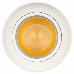 Светильник на штанге Эра  TR59 - 3030 WH в Надыме - nadym.ok-mebel.com | фото 3