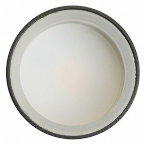 Светильник на штанге Feron ML1001 51371 в Надыме - nadym.ok-mebel.com | фото 4