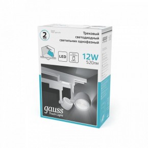 Светильник на штанге Gauss Track Light TR054 в Надыме - nadym.ok-mebel.com | фото 5