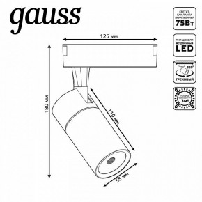 Светильник на штанге Gauss Track Light TR059 в Надыме - nadym.ok-mebel.com | фото 6