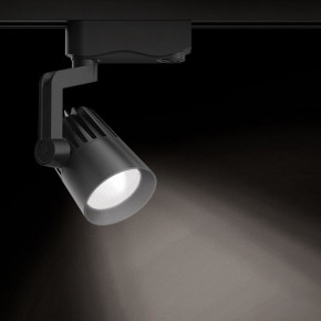 Светильник на штанге Gauss Track Light TR061 в Надыме - nadym.ok-mebel.com | фото 2