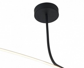 Светильник на штанге Italline IT013-6025 IT013-6025 black 3000K в Надыме - nadym.ok-mebel.com | фото 6