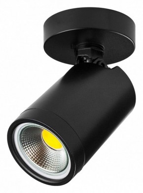Светильник на штанге Lightstar Rullo 213407 в Надыме - nadym.ok-mebel.com | фото