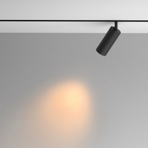 Светильник на штанге Maytoni Artisan TR097-2-12W2.7K-M-BB в Надыме - nadym.ok-mebel.com | фото 4