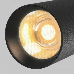 Светильник на штанге Maytoni Artisan TR097-2-12W2.7K-M-BB в Надыме - nadym.ok-mebel.com | фото 9