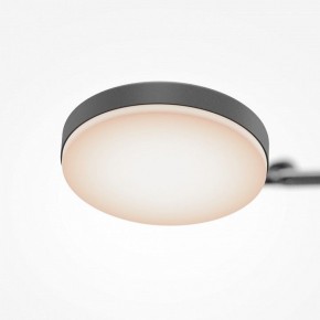 Светильник на штанге Maytoni Fad MOD070CL-L15B3K1 в Надыме - nadym.ok-mebel.com | фото 7