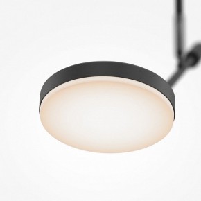 Светильник на штанге Maytoni Fad MOD070CL-L8B3K в Надыме - nadym.ok-mebel.com | фото 4