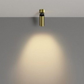Светильник на штанге Maytoni FOCUS LED C055CL-L12W2.7K-W-BS в Надыме - nadym.ok-mebel.com | фото