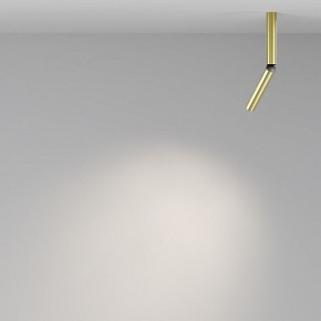 Светильник на штанге Maytoni Focus T C142CL-6W4K-BS в Надыме - nadym.ok-mebel.com | фото 4