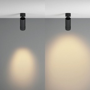 Светильник на штанге Maytoni Focus Zoom C055CL-L12W2.7K-Z-B в Надыме - nadym.ok-mebel.com | фото 3