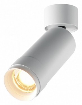 Светильник на штанге Maytoni Focus Zoom C055CL-L12W2.7K-Z-W в Надыме - nadym.ok-mebel.com | фото