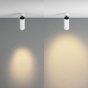 Светильник на штанге Maytoni Focus Zoom C055CL-L12W2.7K-Z-W в Надыме - nadym.ok-mebel.com | фото 3