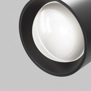 Светильник на штанге Maytoni Lens TR217-4-15WTW-DD-B в Надыме - nadym.ok-mebel.com | фото 12