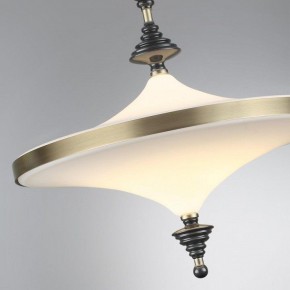 Светильник на штанге Odeon Light Ula 5404/43CL в Надыме - nadym.ok-mebel.com | фото 6