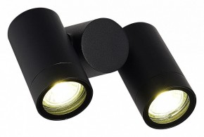 Светильник на штанге ST-Luce Ecollo SL9011.402.02 в Надыме - nadym.ok-mebel.com | фото 3