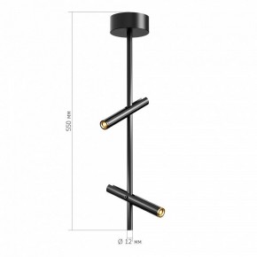 Светильник на штанге ST-Luce LILT SL6210.403.02 в Надыме - nadym.ok-mebel.com | фото 3