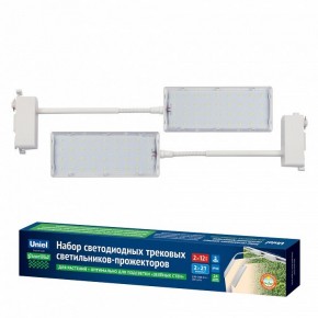 Светильник на штанге Uniel ULB-P37 UL-00012578 в Надыме - nadym.ok-mebel.com | фото 2