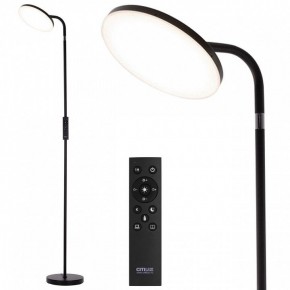 Торшер Citilux SOLO CL804061 в Надыме - nadym.ok-mebel.com | фото 2