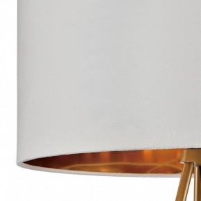 Торшер Lumion Tapioka 8077/1F в Надыме - nadym.ok-mebel.com | фото 6