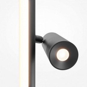 Торшер Maytoni Thin MOD395FL-L28B3K в Надыме - nadym.ok-mebel.com | фото 6