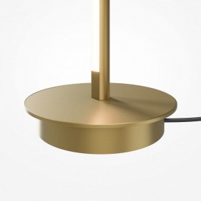 Торшер Maytoni Thin MOD395FL-L28BS3K в Надыме - nadym.ok-mebel.com | фото 7