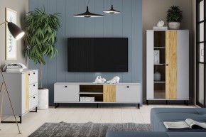 Тумба ТВА НМ 014.46 "Бруно" в Надыме - nadym.ok-mebel.com | фото 3