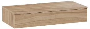 Тумбочка навесная ТД-102.08.02 в Надыме - nadym.ok-mebel.com | фото 3
