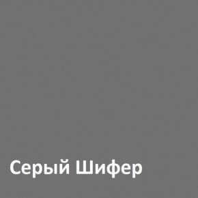 Юнона Шкаф торцевой 13.221 в Надыме - nadym.ok-mebel.com | фото 2